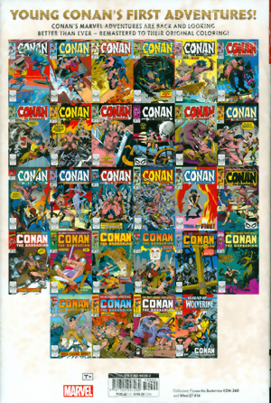 Conan The Barbarian: The Original Marvel Years Omnibus Vol. 9